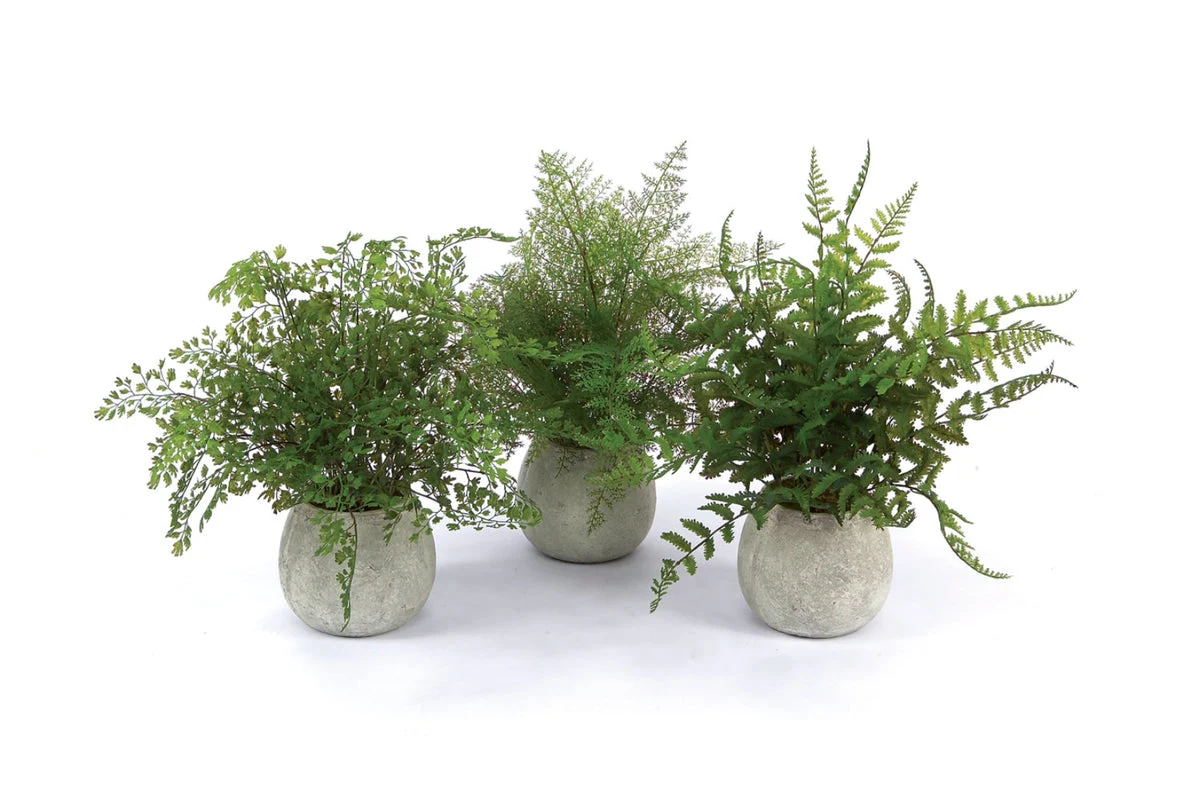 Potted Fern Plants – 14" Tall – Set of 3 Faux Green Ferns in Grey Pots for Indoor or Covered Outdoor Use By Melrose