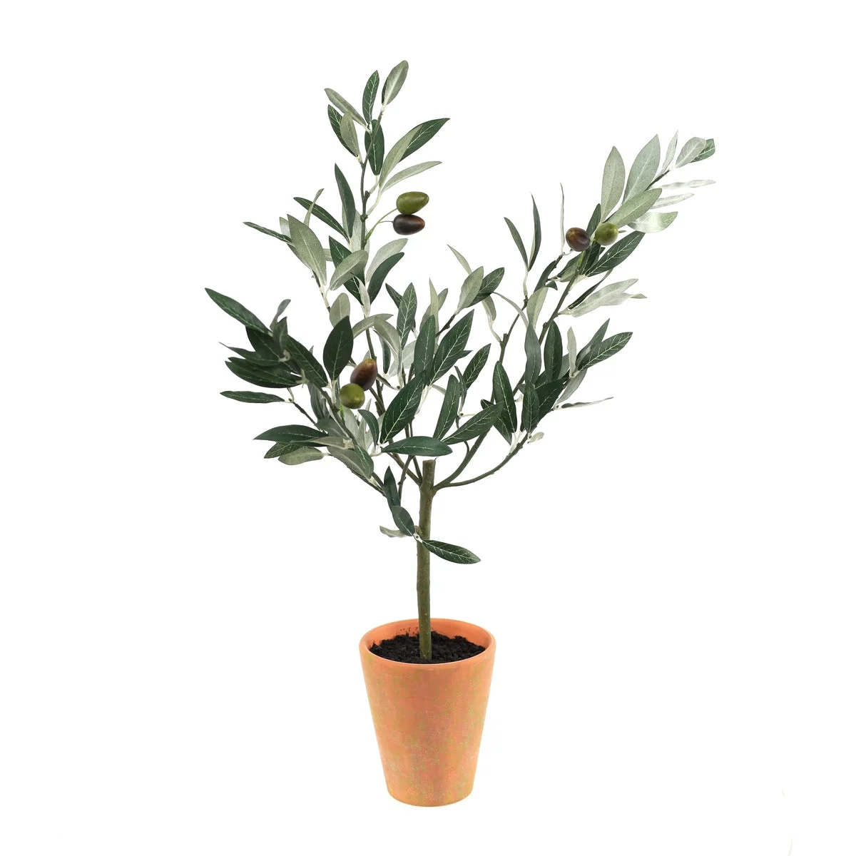 Potted Olive Tree Topiary 22 Inch Height Artificial Plant for Indoor Display By Melrose