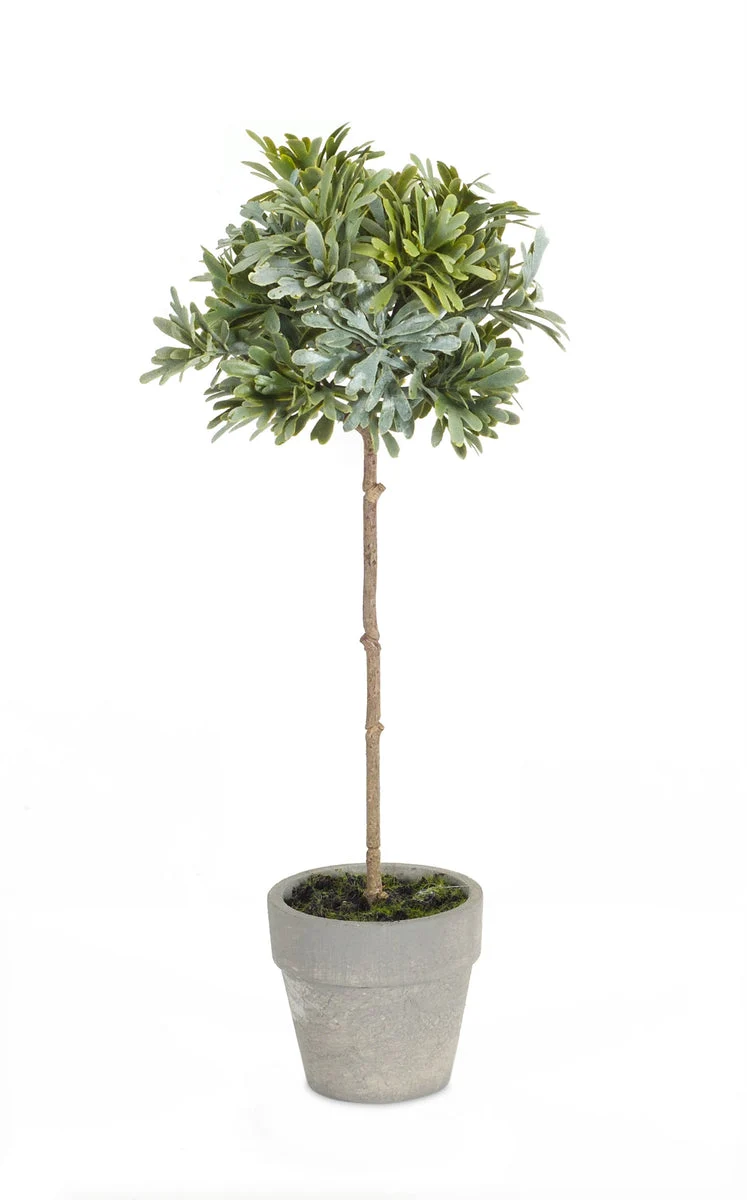 Potted Botanical Herb Set for Natural-Themed Decor by Melrose