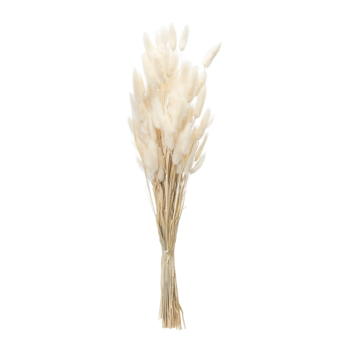 Set of Two Faux Bunny Tail Stems for Everyday Decor by Melrose