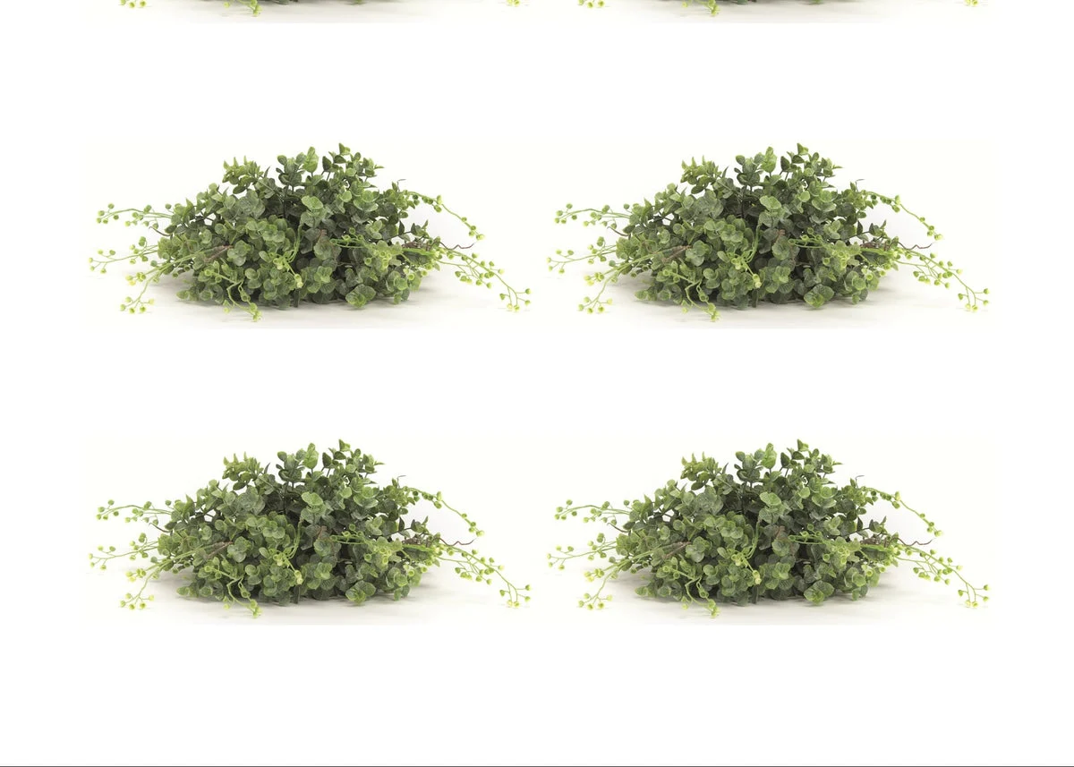 Spring Boxwood Half Orb, Set of 6, 12"L Plastic Faux Green & White Foliage Decor by Melrose
