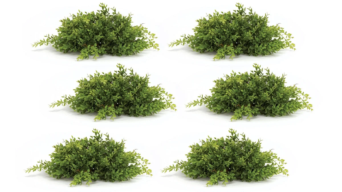 Spring Mini Leaf Foliage Half Orb 13"L – Faux Greenery, Set of 6 by Melrose