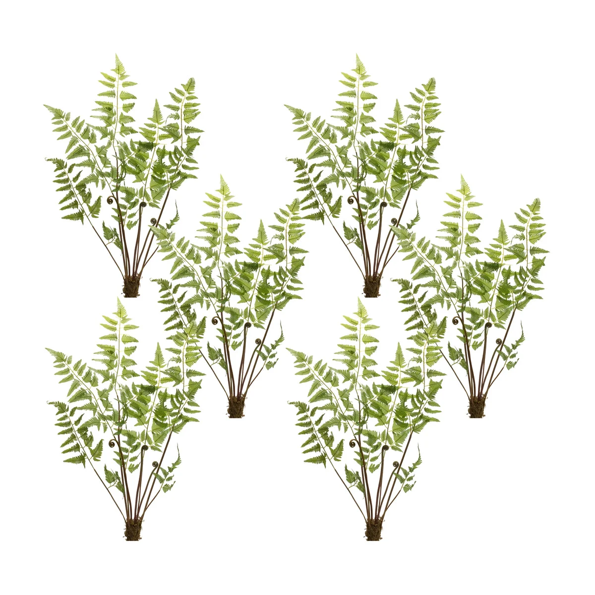 Faux Fern Bundle Set of 6 with 37 Inch Height Variegated Greenery Stems for Home Decor by Melrose