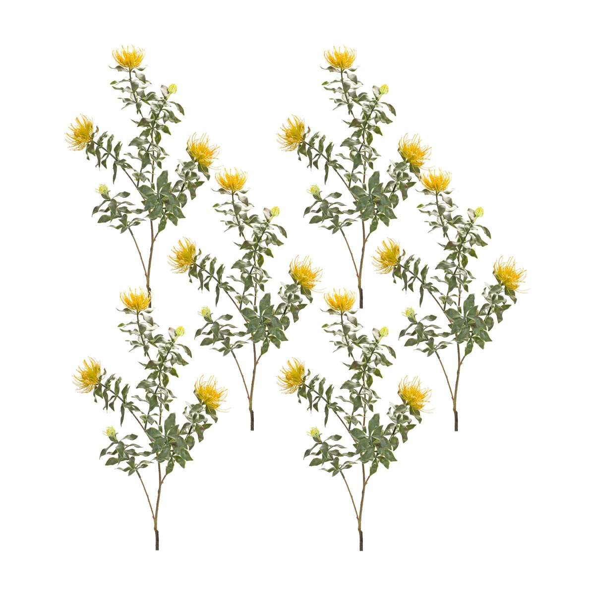 Protea Stem Set Of 6 Yellow and Green 34.25 Inch Faux Flowers for Home Decor By Melrose