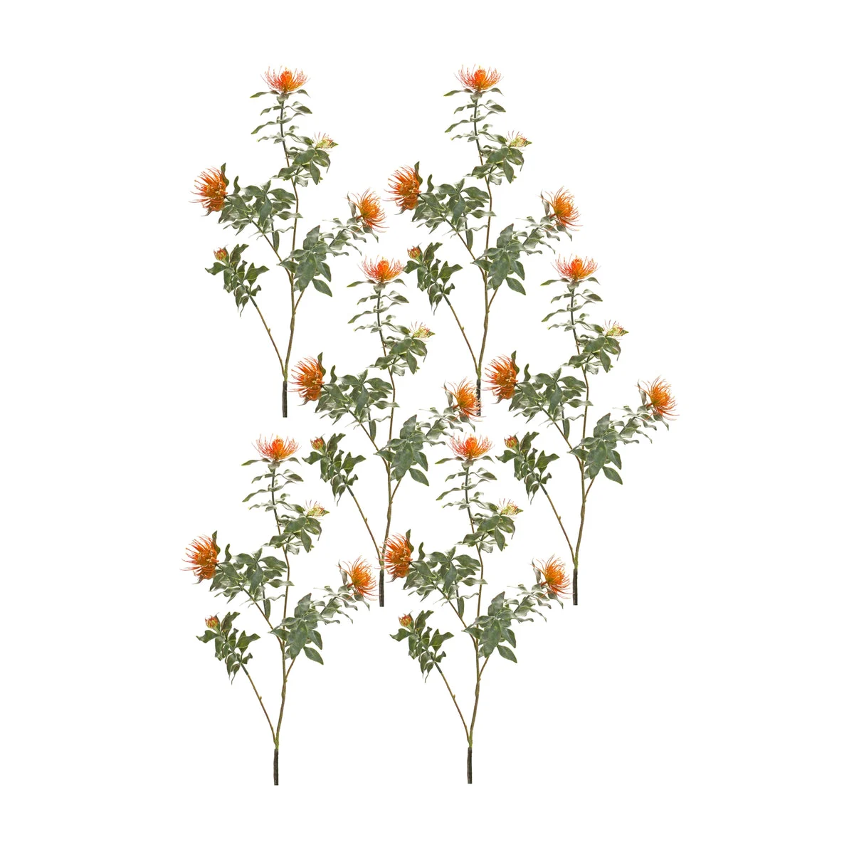 Protea Stem Set Of 6 Orange and Green 34.25 Inch Faux Flowers for Home Decor By Melrose
