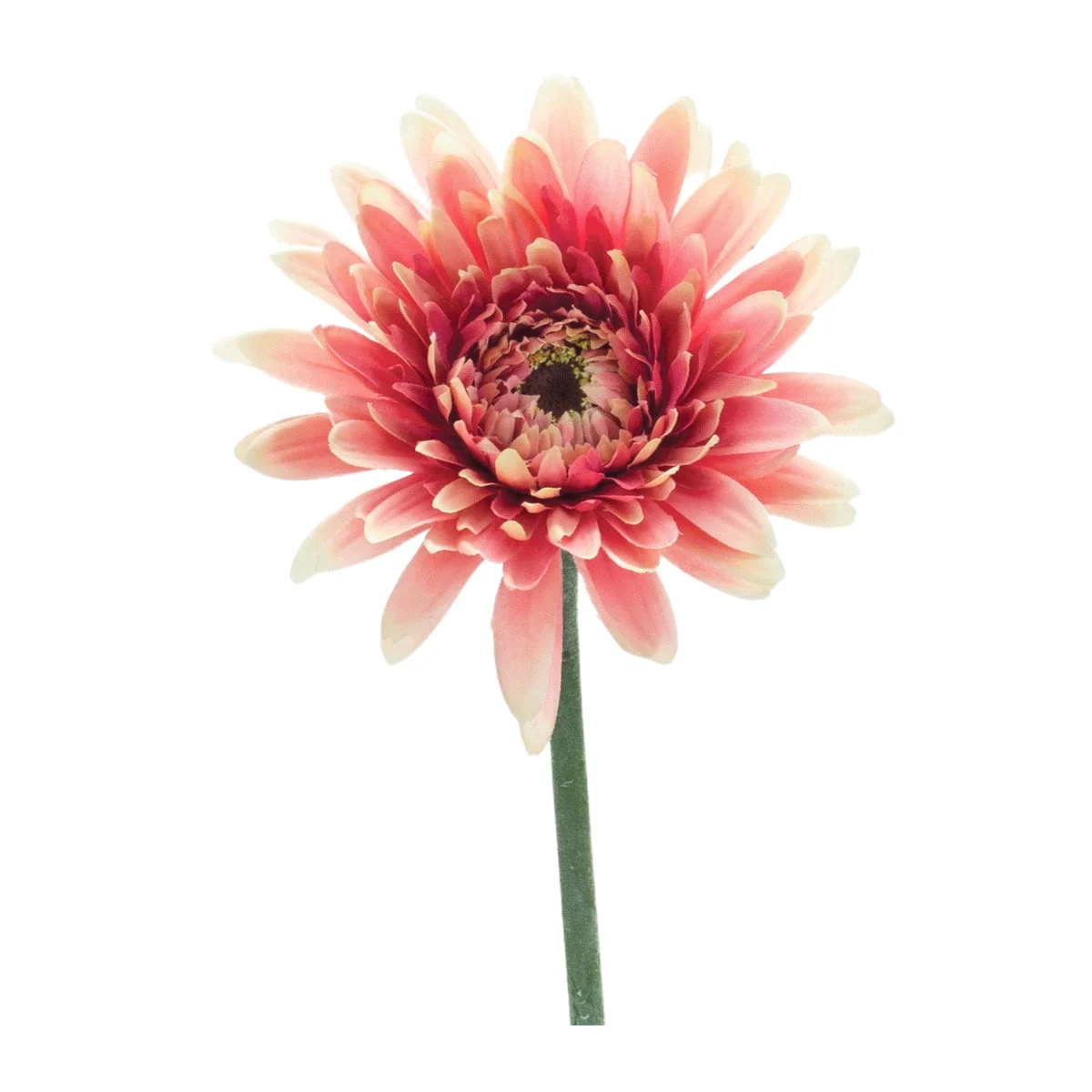 Gerbera Daisy Stem Set Of 6 Pink and Green 22 Inch Faux Flowers for Home Decor By Melrose