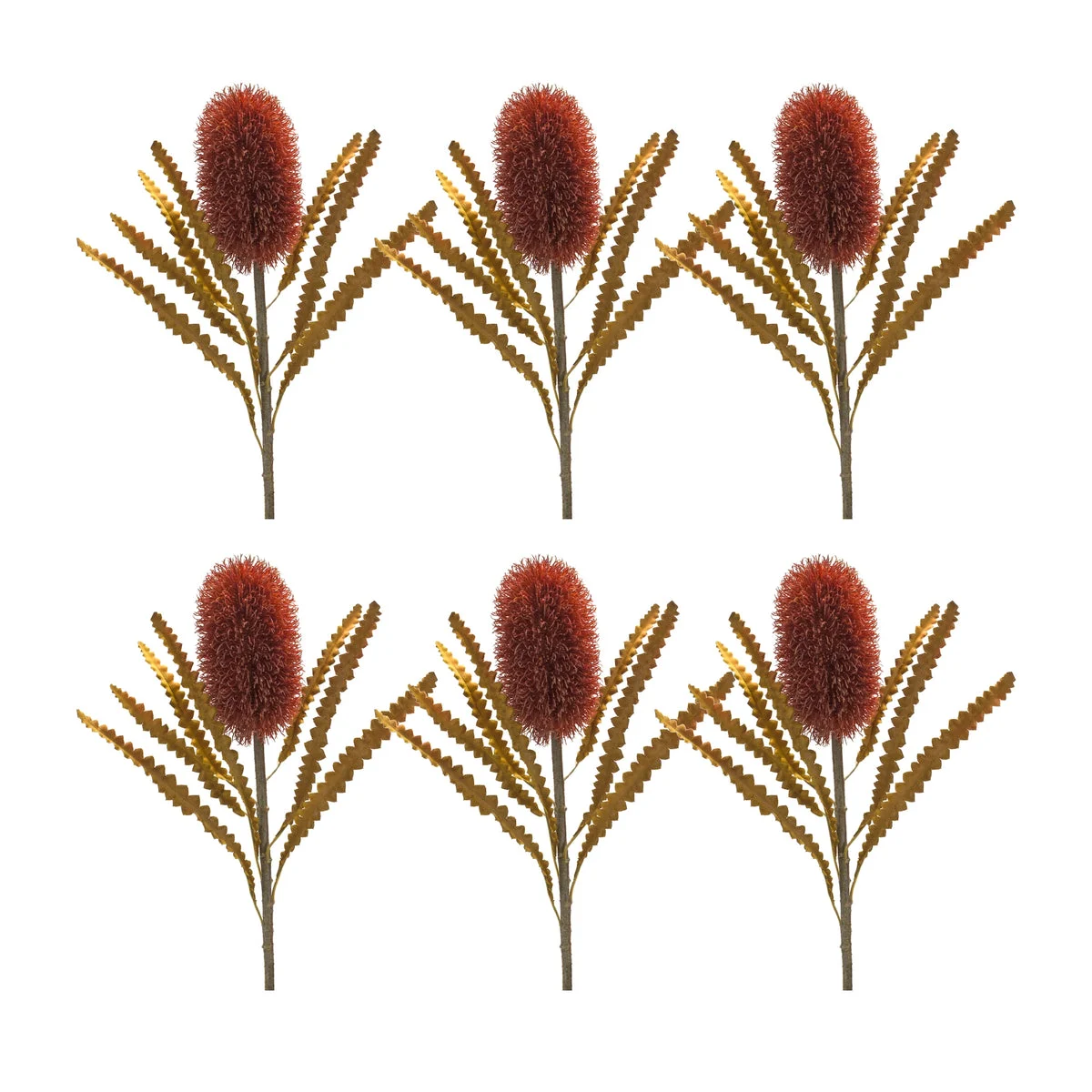 Banksia Stem Set Of 6 Plastic Design With 24 Inch Height For Floral Displays By Melrose