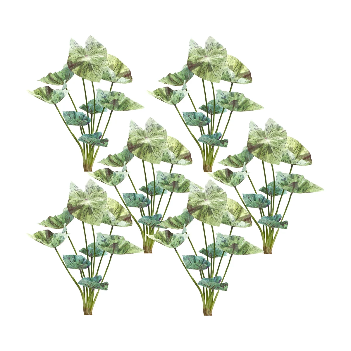 Caladium Bush Set Of 6 Plastic And Polyester Design With 18.5 Inch Height For Indoor Decor By Melrose