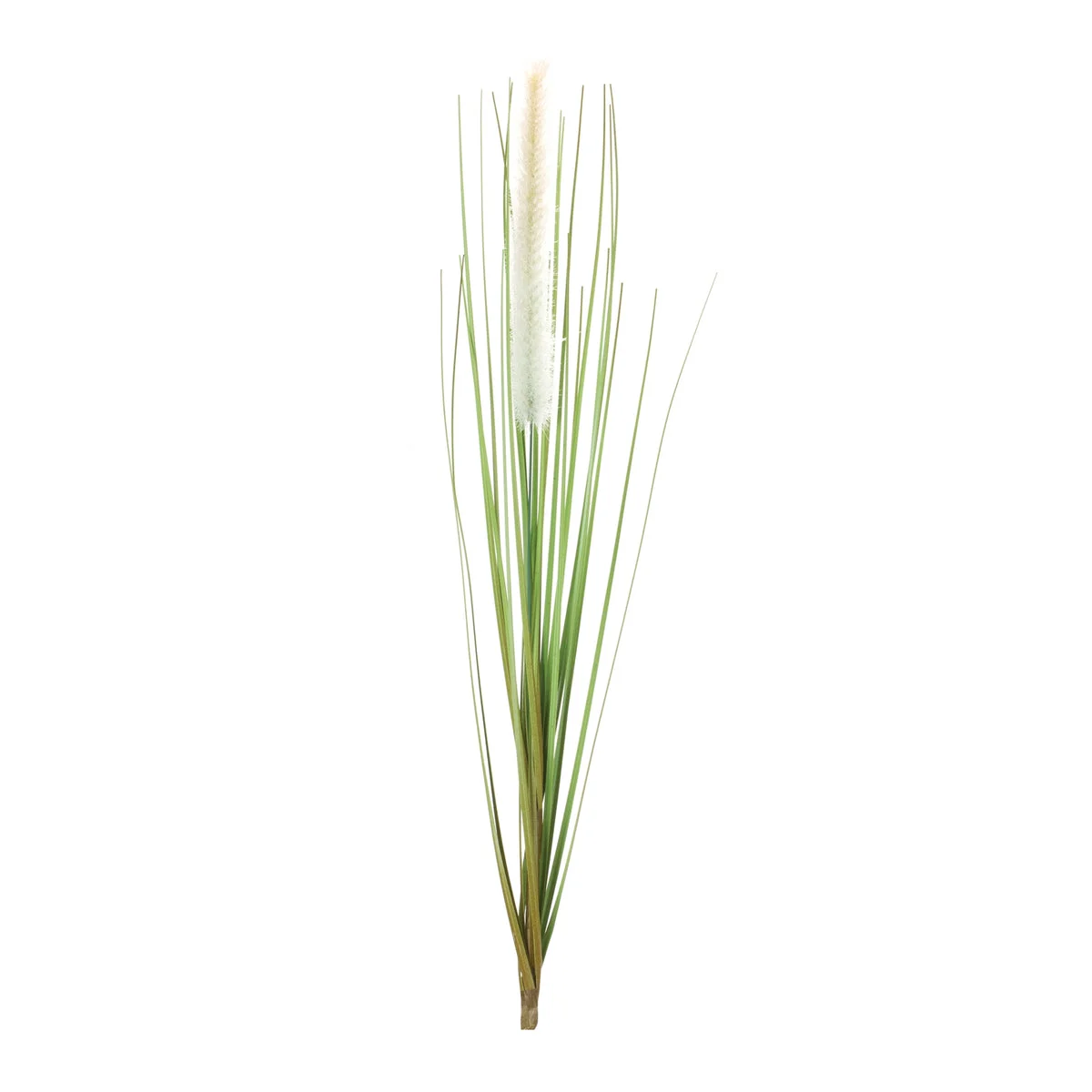 Foxtail Bush Faux Stems 20 Inch Height (Set of 12) Green and White Sprays by Melrose
