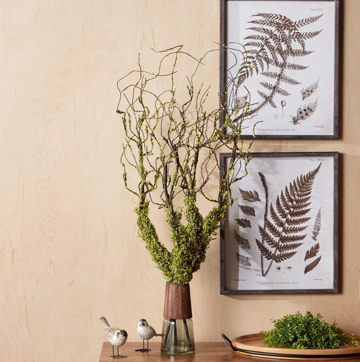 Moss Foliage Vine Branch 40"L Plastic Set of 2 by Melrose