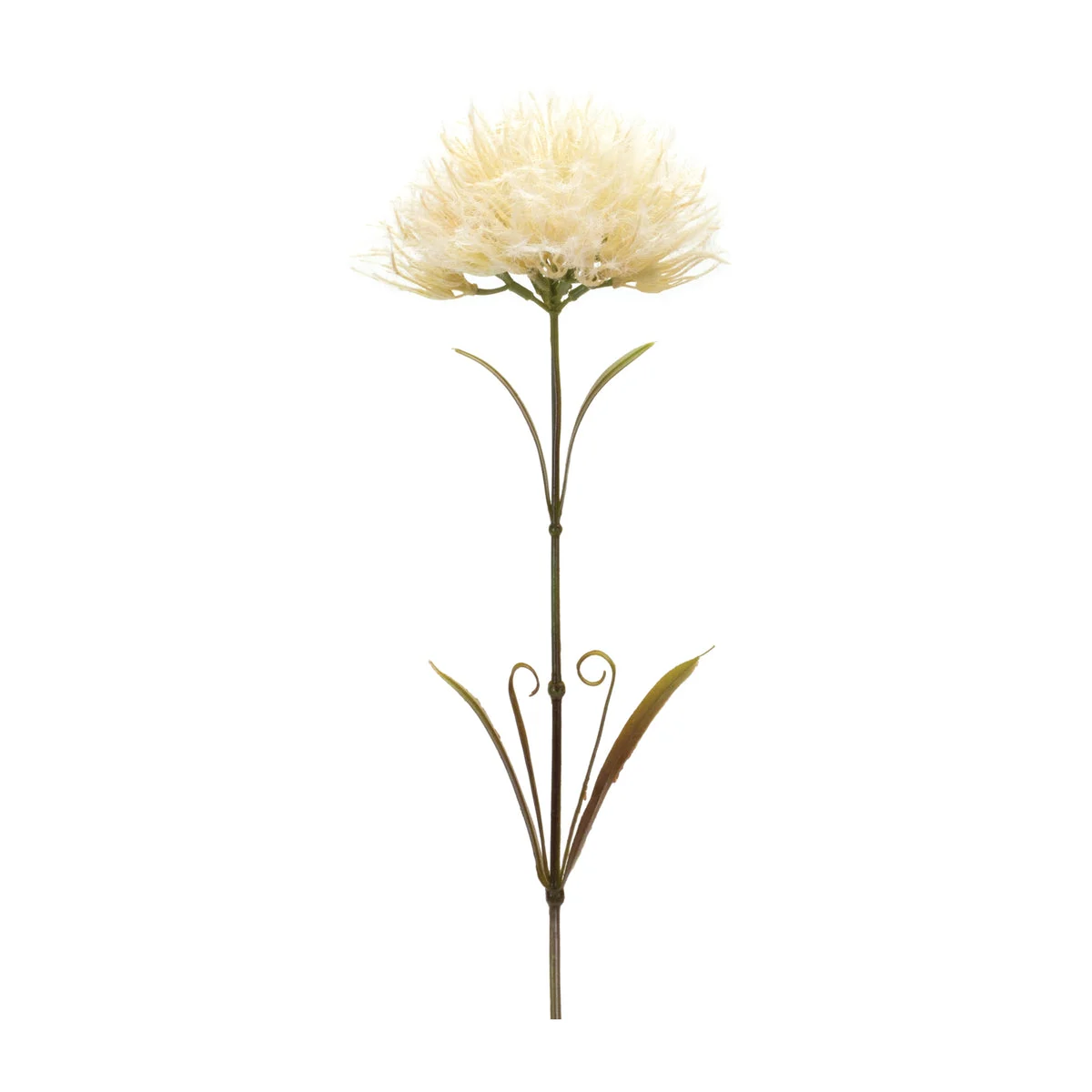 Puff Flower Stem Set – 24"H Faux Floral Decorative Stems (Set of 6) Plastic Home Accents by Melrose