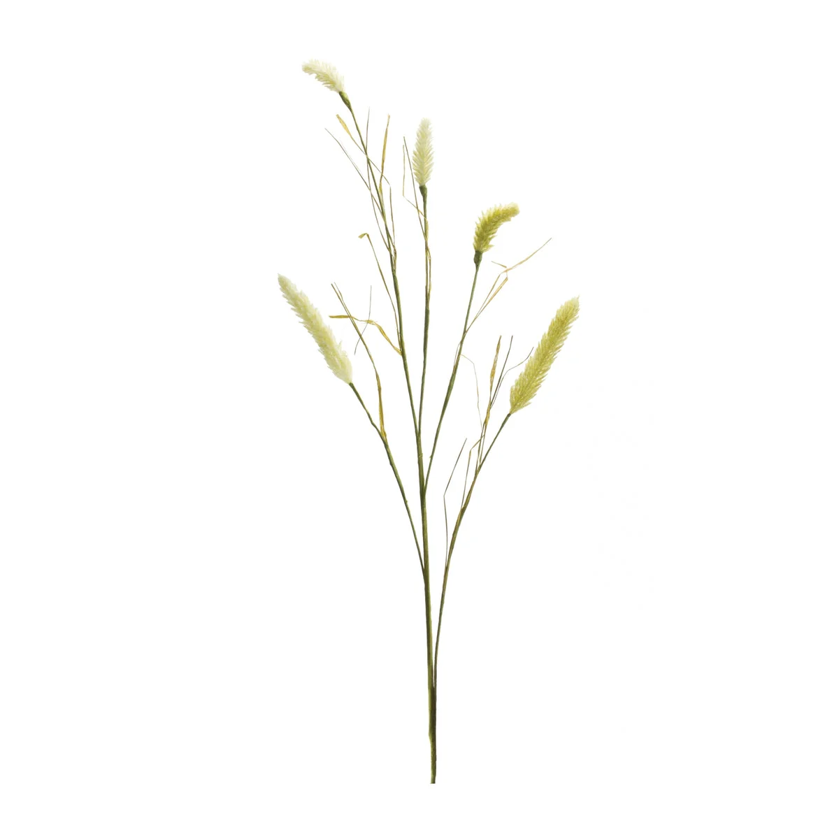 Foxtail Spray 33.5"H Green Faux Floral Stems, Set of 6 by Melrose