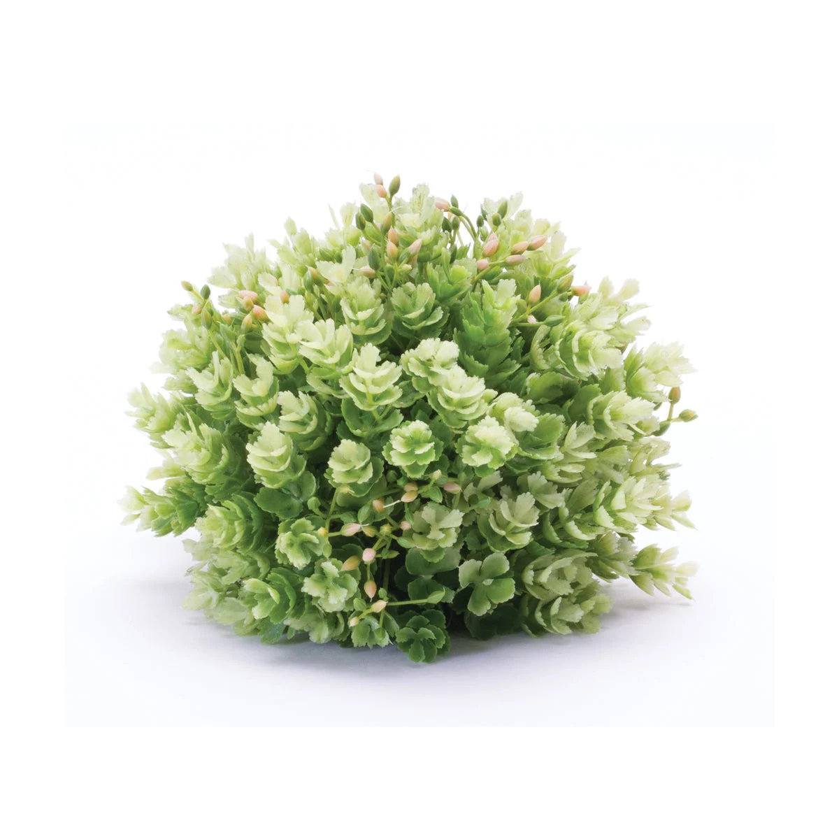 Faux Green Foliage Half Orbs – Plastic Tabletop Decorative Accent 6.5 inch by Melrose