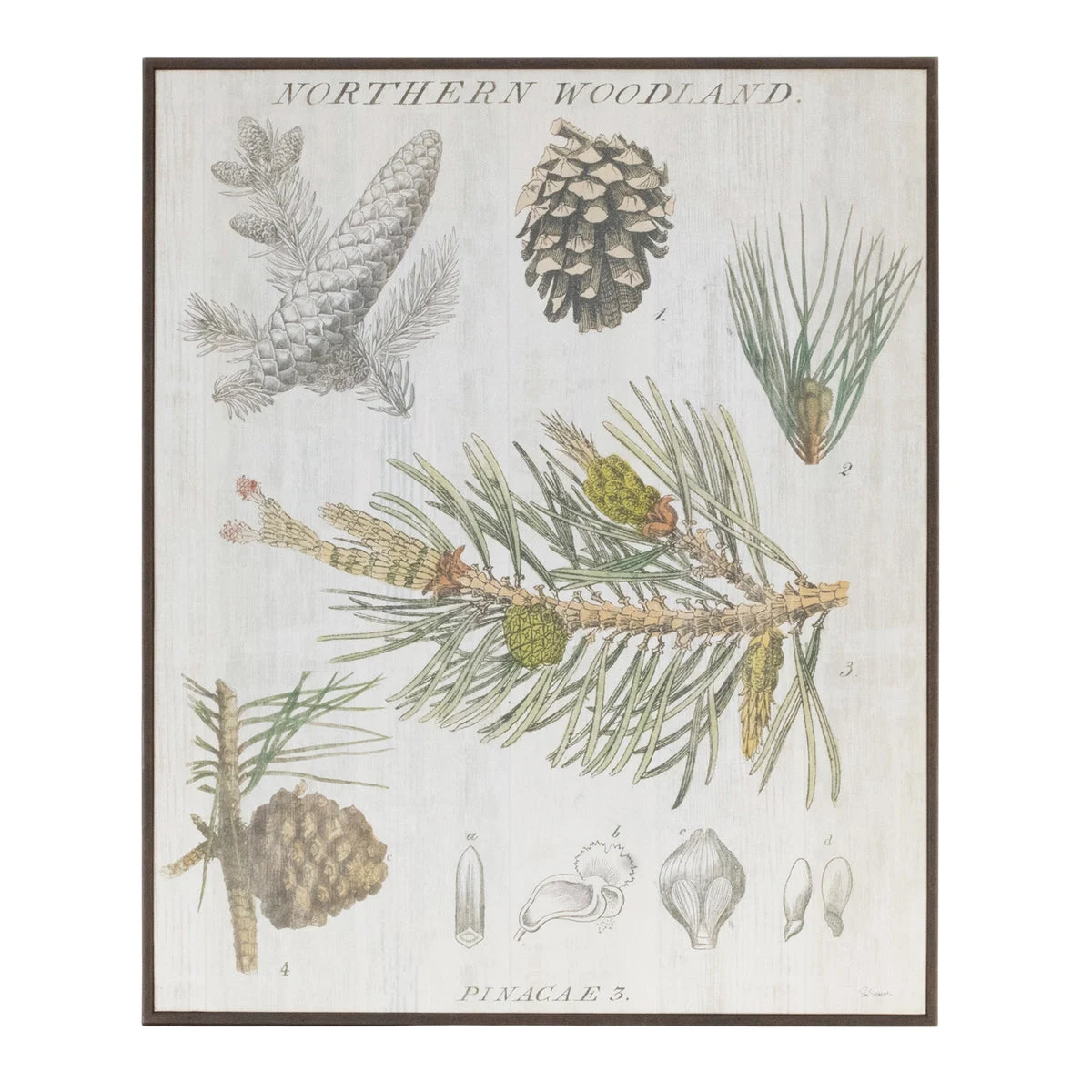 Wall Art, Framed Pine Print 15.5"H Green and White by Melrose