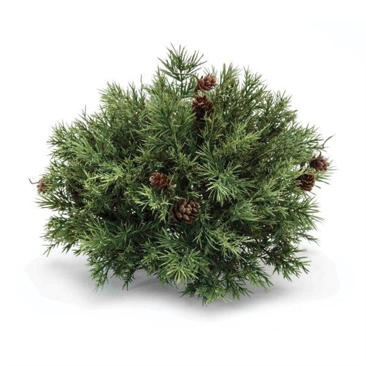 Mixed Pine Half Orb – Plastic Rustic Christmas Decor 9H, 10D Brand Name By Melrose