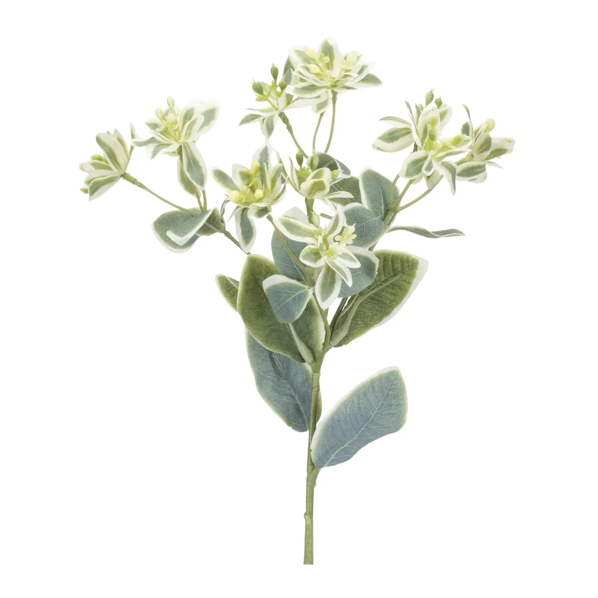 Euphorbia Spray – Faux Green and White – 18.5" Height Set of 6 – By Melrose
