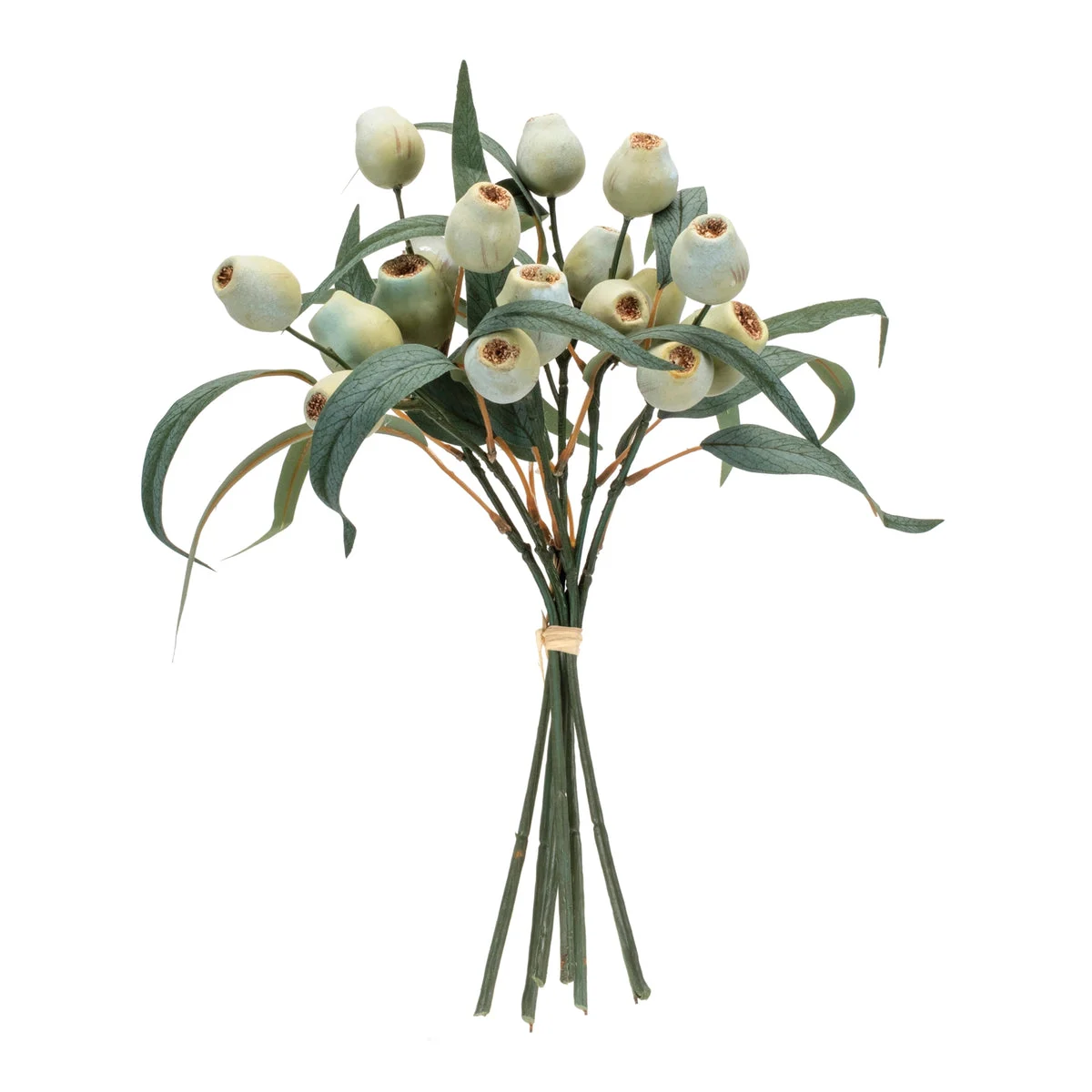 Faux Pod Foliage Bundle Green Decorative Stems Set of 2 – 14" H by Melrose