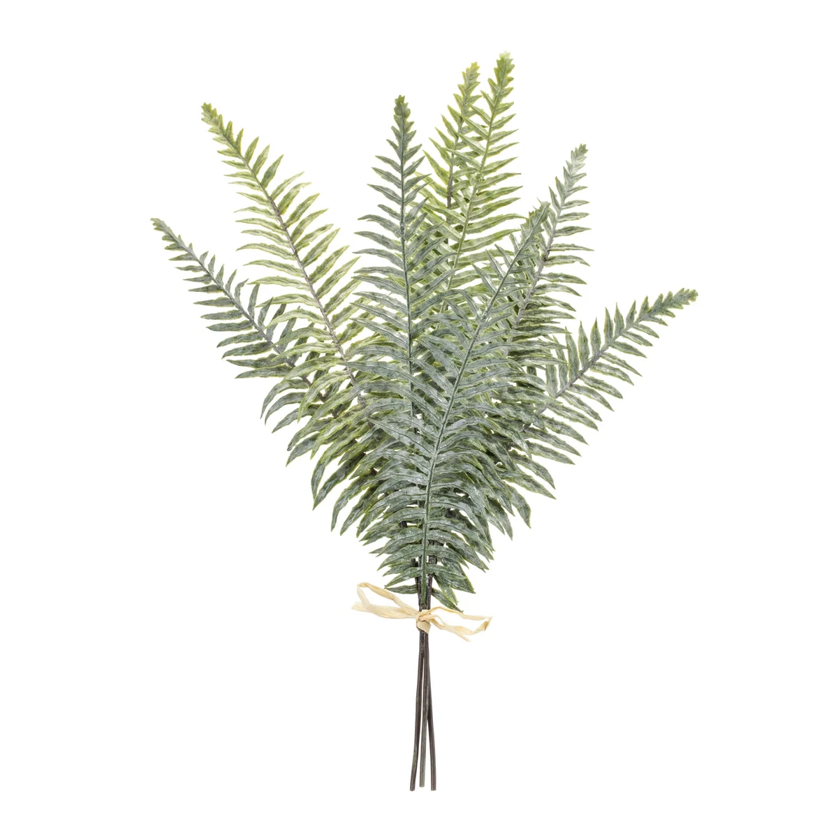 Fern Bundle Green Faux Foliage Stems – Decorative Set of 2 by Melrose