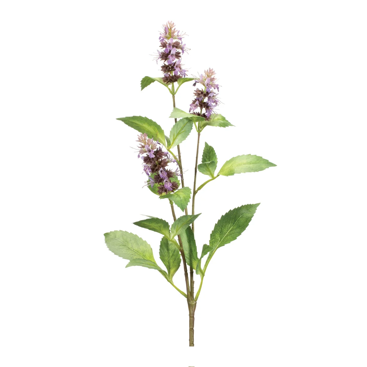 Decorative Buddleia Floral Stems 29.5"H– Set of 6 by Melrose