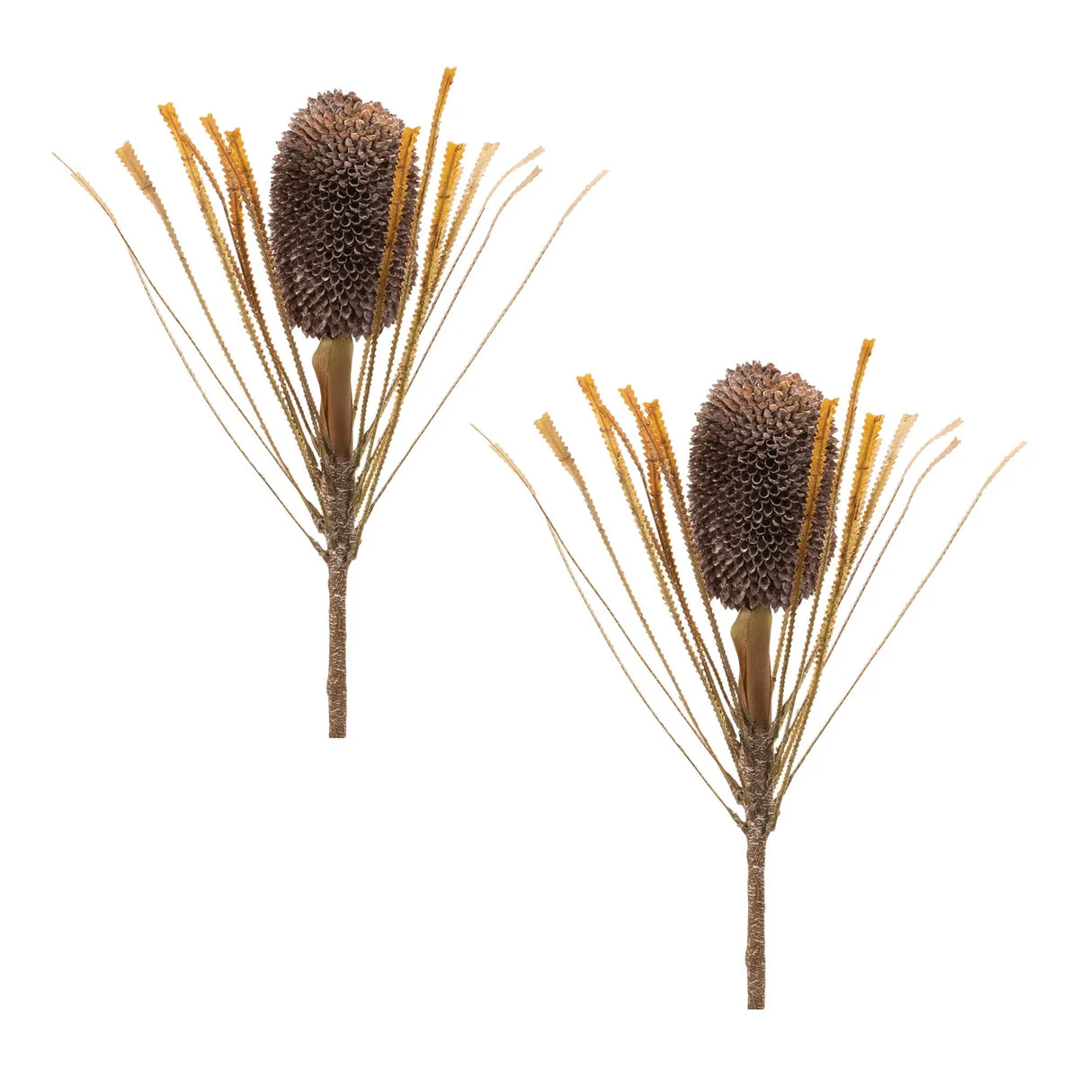 Fall Banksia Pod Stem (Set of 2) – 28"H Brown Beige Faux Floral Fall Decor by Melrose