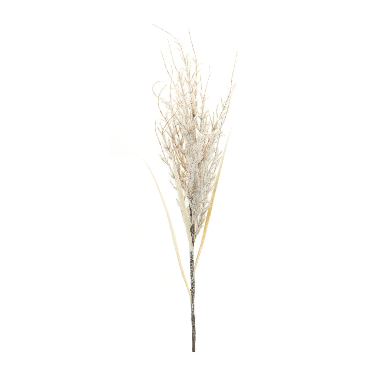 Flocked Snowy Twig Branch (Set of 6) – 44"H Beige Faux Winter Stems Indoor Holiday Decor by Melrose