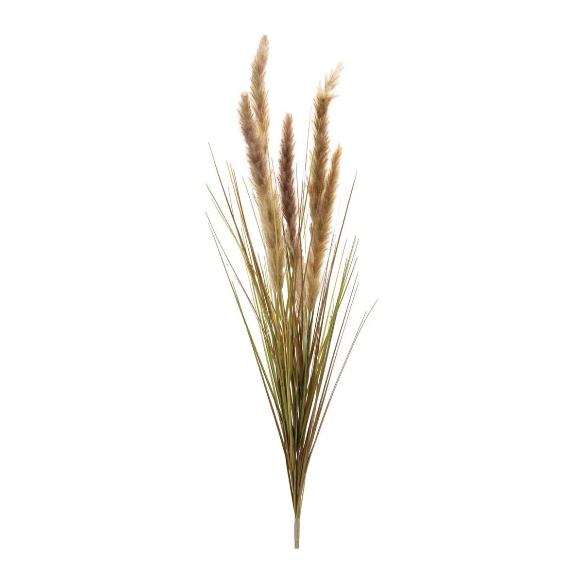 Foxtail Grass Bushes 41"H Natural Reed Plastic Beige Brown Traditional Fall Decor Set of 6 By Melrose