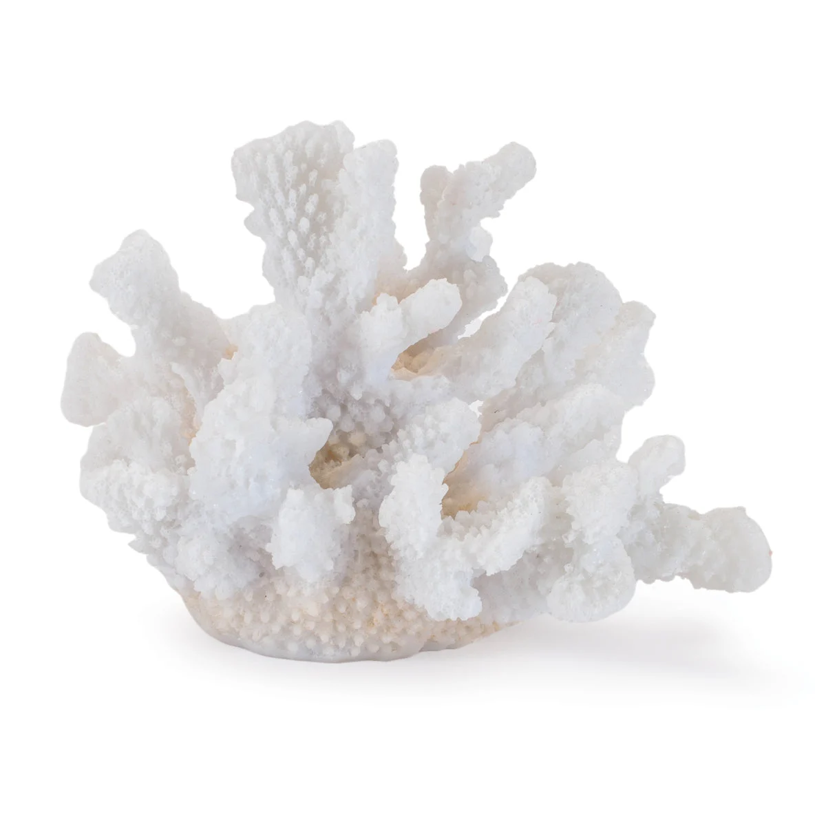 Coral Sculpture (Set of 4) 4.5"H, White Resin Coastal Home Decor By Melrose