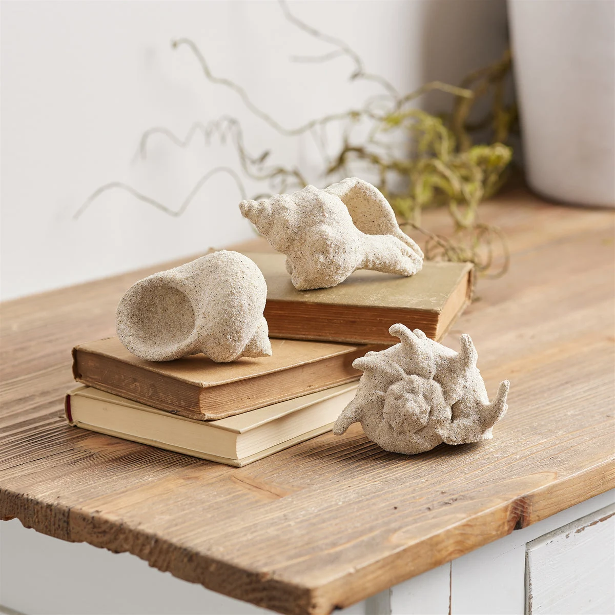 Sea Shell Filler Decor (Set of 12) Beige Resin Coastal Home Decor By Melrose