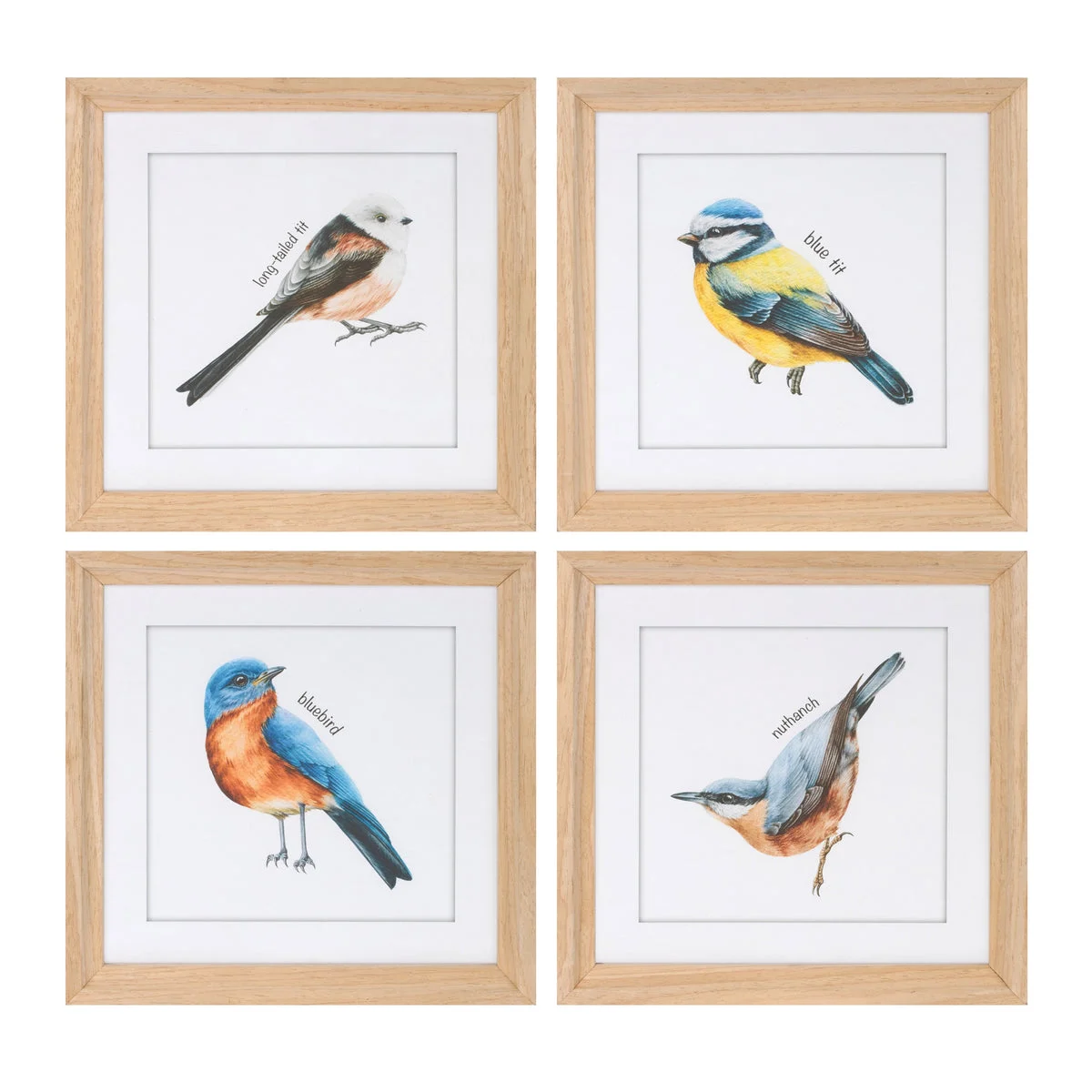 Framed Bird Prints Set of 8 Under Glass Cottage Wall Art 9.9" H by Melrose