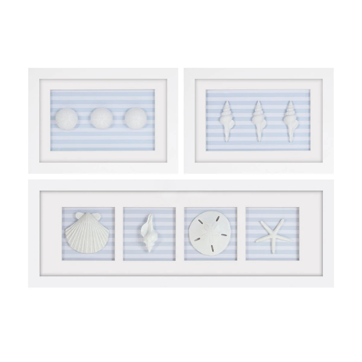 Framed Sand Dollar & Shells Wall Art (Set of 3) – 9"H Coastal Beach Indoor Decor by Melrose