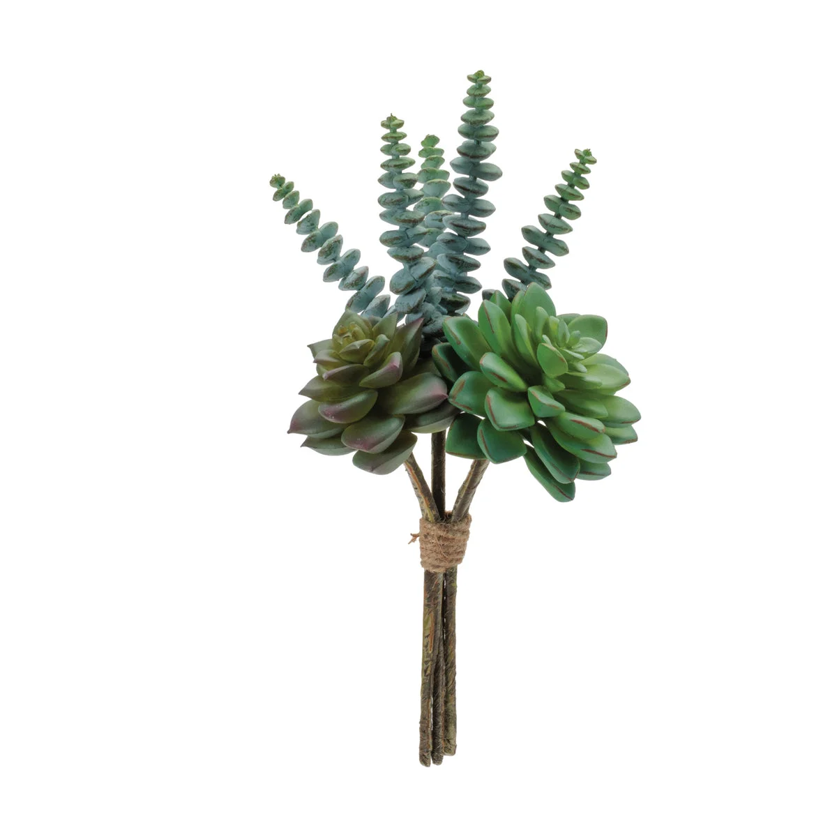 Succulent Bundle (Set of 6) – 9.5"H Green Faux Indoor Botanical Accents by Melrose