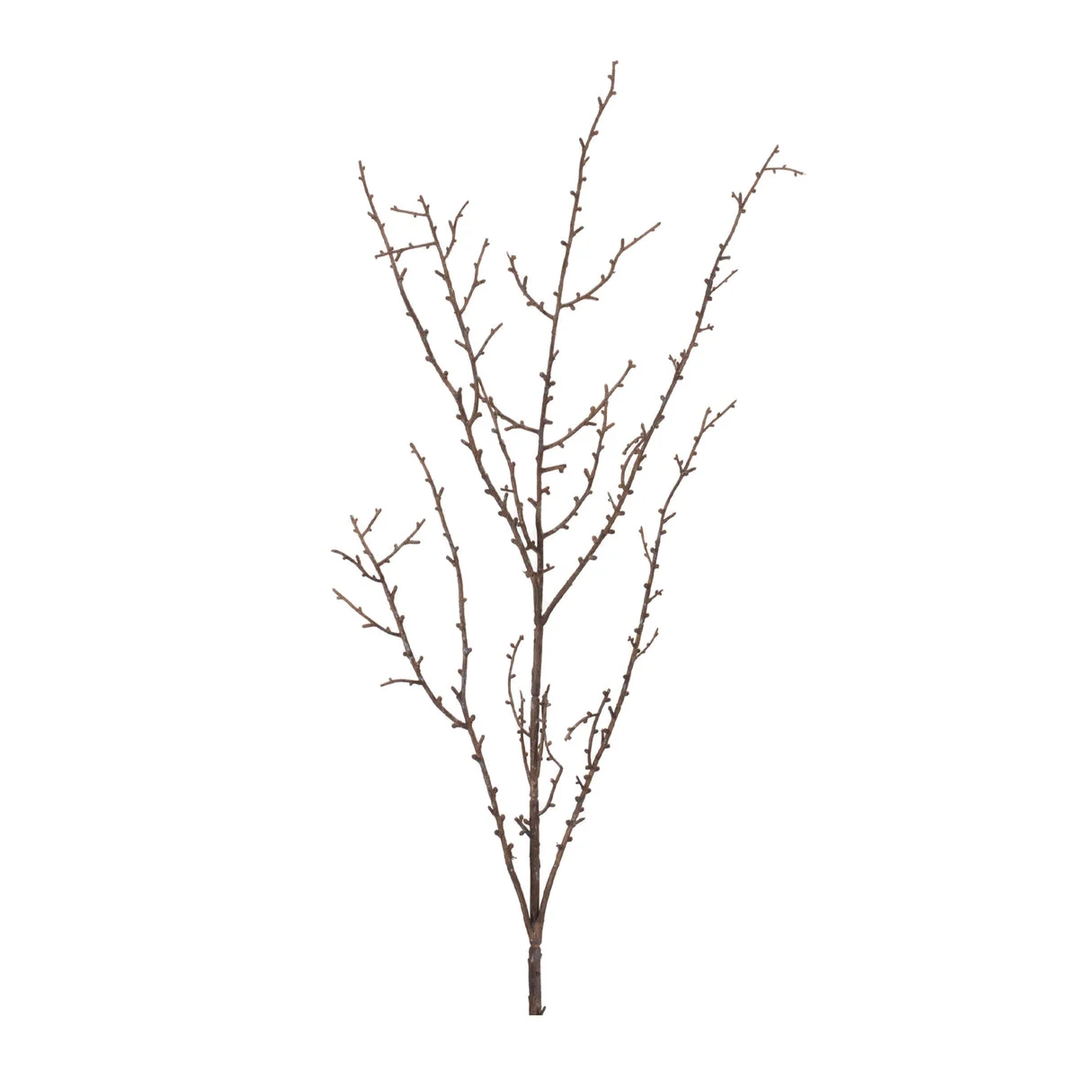 Birch Branch Decorative Accent 37"H Brown Gray Plastic Farmhouse Indoor Style (Set of 6) By Melrose