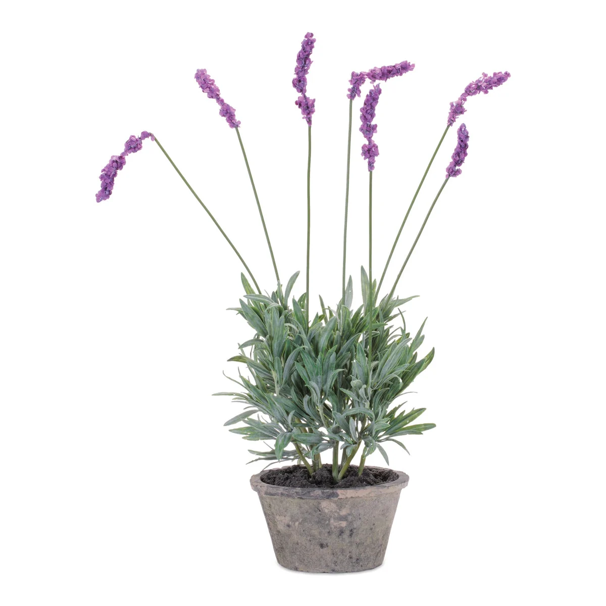 Potted Lavender Plants 20"H, Purple Green Polyester Faux Floral in Cement Pots (Set of 4) By Melrose