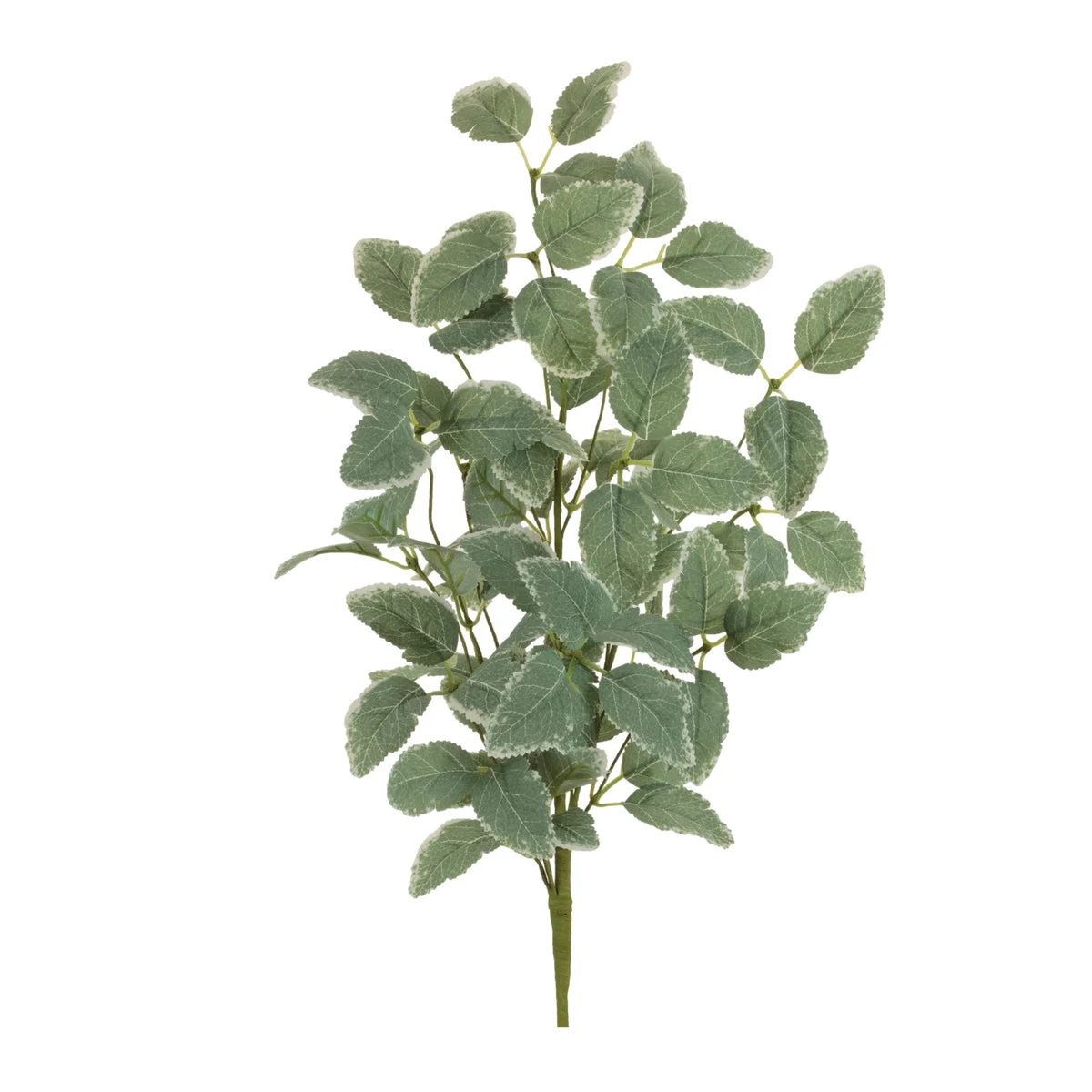 Foliage Spray 27.25"H, Green Polyester Faux Variegated Leaves with Wired Stems (Set of 2) By Melrose