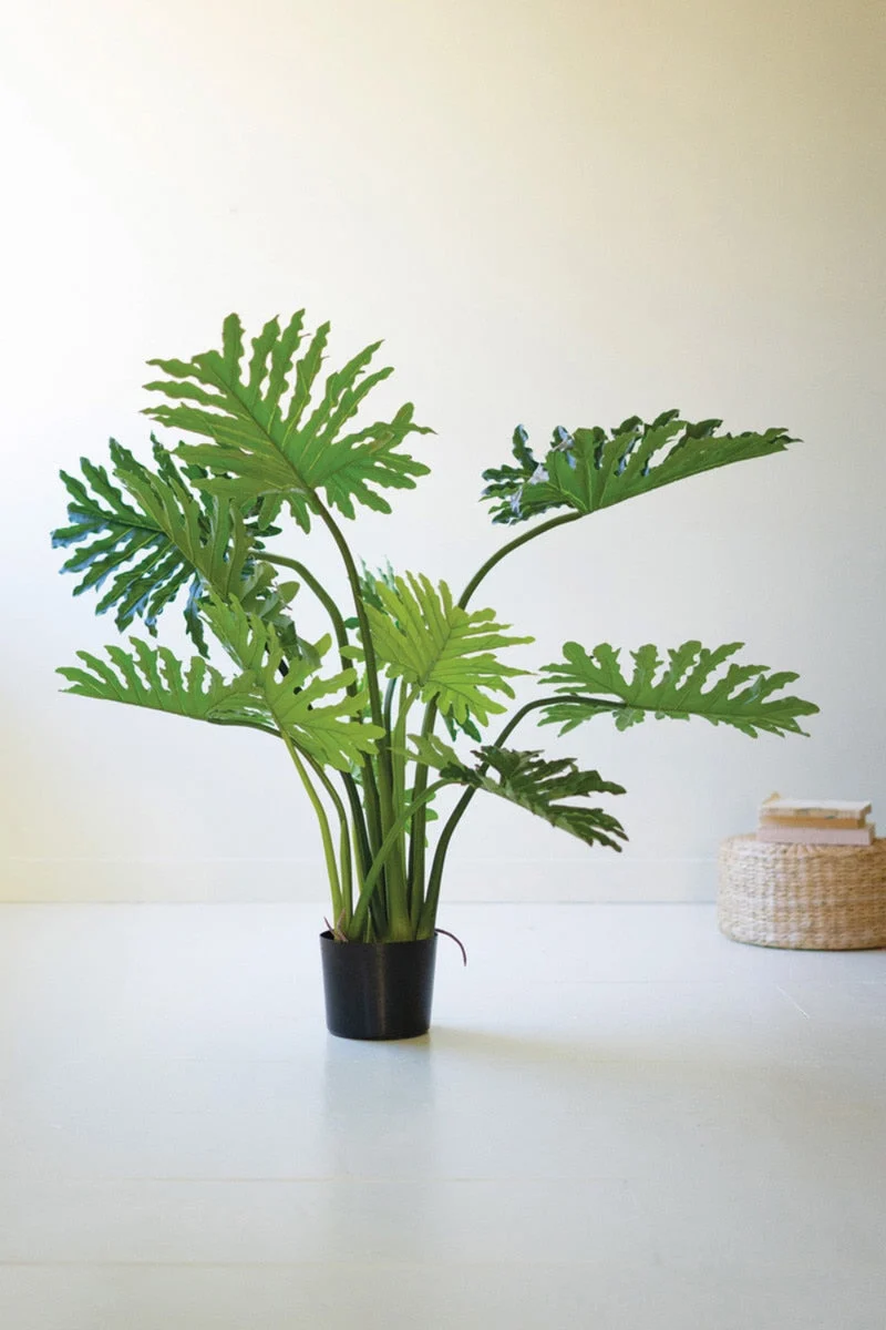 Botanica Split Leaf Philodendron 47"H in Black Plastic Pot, Tropical Faux Plant by Kalalou