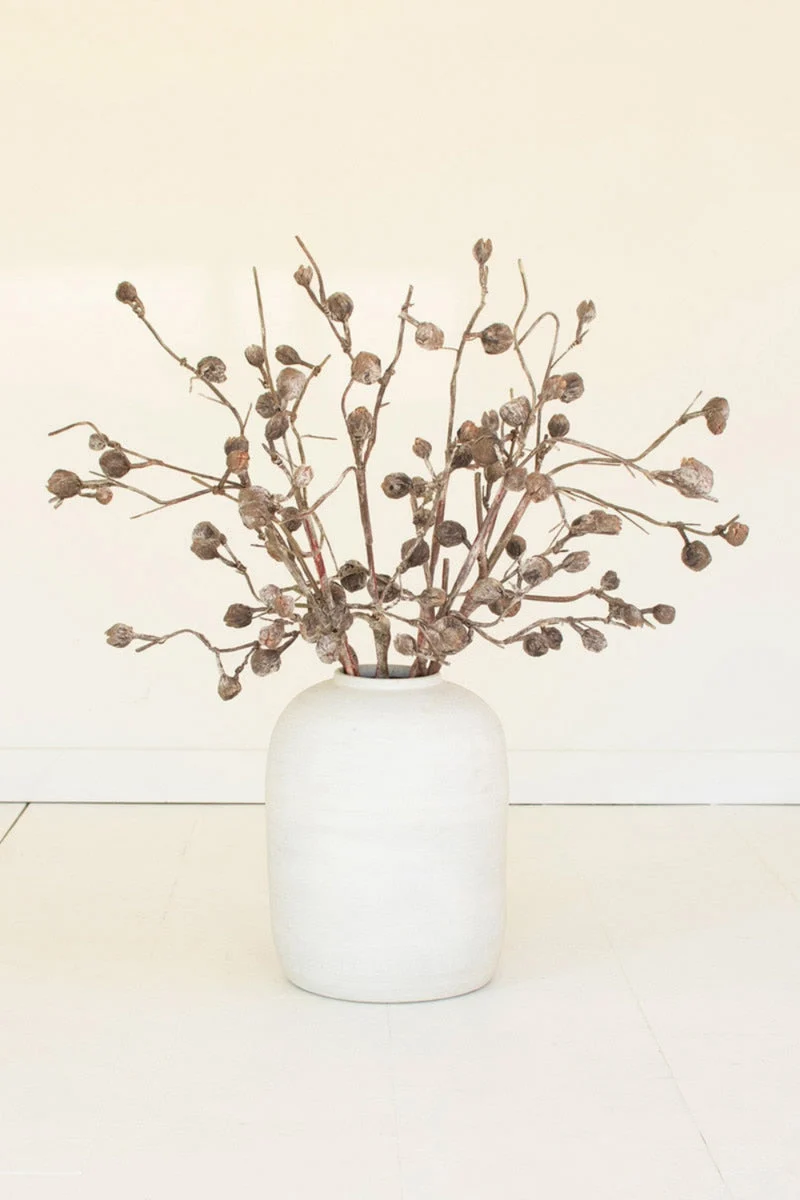 Botanica Curved Pod Branch 36" H Artificial Botanical Decor by Kalalou